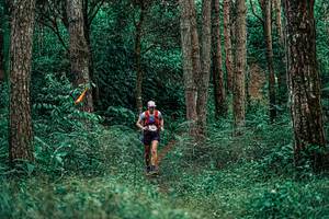 BIB: 
                            <button type="button" onclick="openModal(25237927)" class="btn btn-primary btn-sm float-right btn-popup" data-toggle="modal" data-target=".modal-high-quality">
                        <i class="fas fa-shopping-cart"></i> Add to Cart
                    </button>
                                            <button type="button" onclick="isThisMe(25237927, true)" class="btn btn-success btn-sm float-right btn-popup btn-isme hidden" data-toggle="tooltip" data-placement="bottom" title="นี่คือรูปของคุณใช่ไหม คลิกที่นี่เพื่อเอาเข้าอัลบั้ม">
                        <i class="fas fa-plus"></i> Add to album
                    </button>
                    <button type="button" onclick="isThisMe(25237927, false)" class="btn btn-warning btn-sm float-right btn-popup btn-isnotme hidden">
                        <i class="fas fa-ban"></i> Remove from album
                    </button>